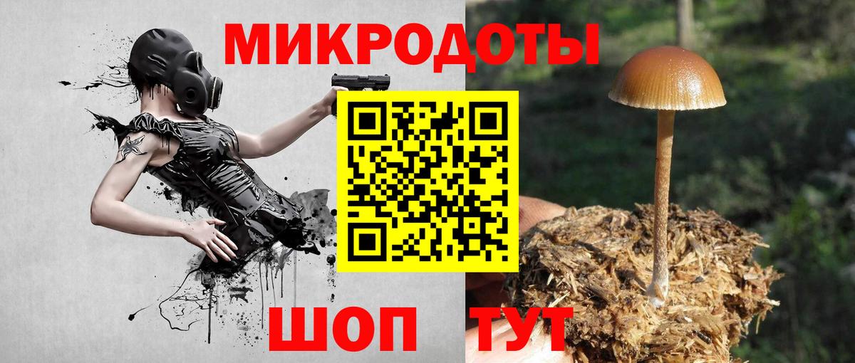 Галлюциногенные грибы мицелий  Вход с VPN  Коряжма 