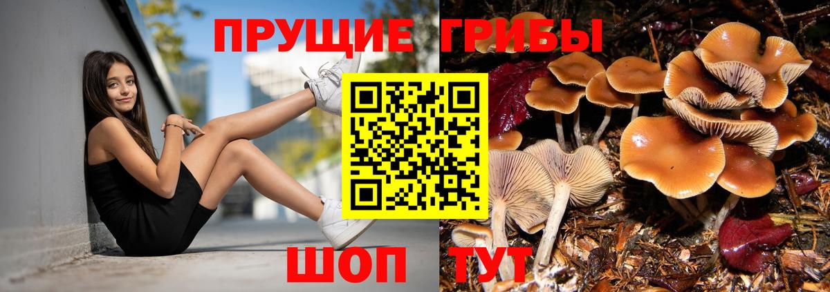 Псилоцибиновые грибы мухоморы Коряжма